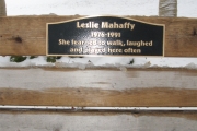 DONOR RECOGNITION SIGNS AND PLAQUES (12)
